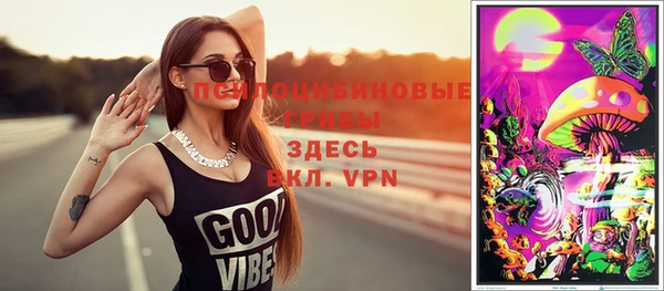 молекула духа Грязи