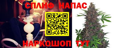 сатива Рыбинск