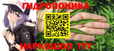сатива Рыбинск