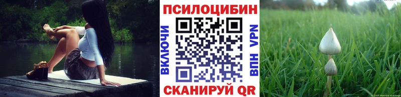 даркнет сайт  Дальнереченск  Галлюциногенные грибы Psilocybine cubensis 