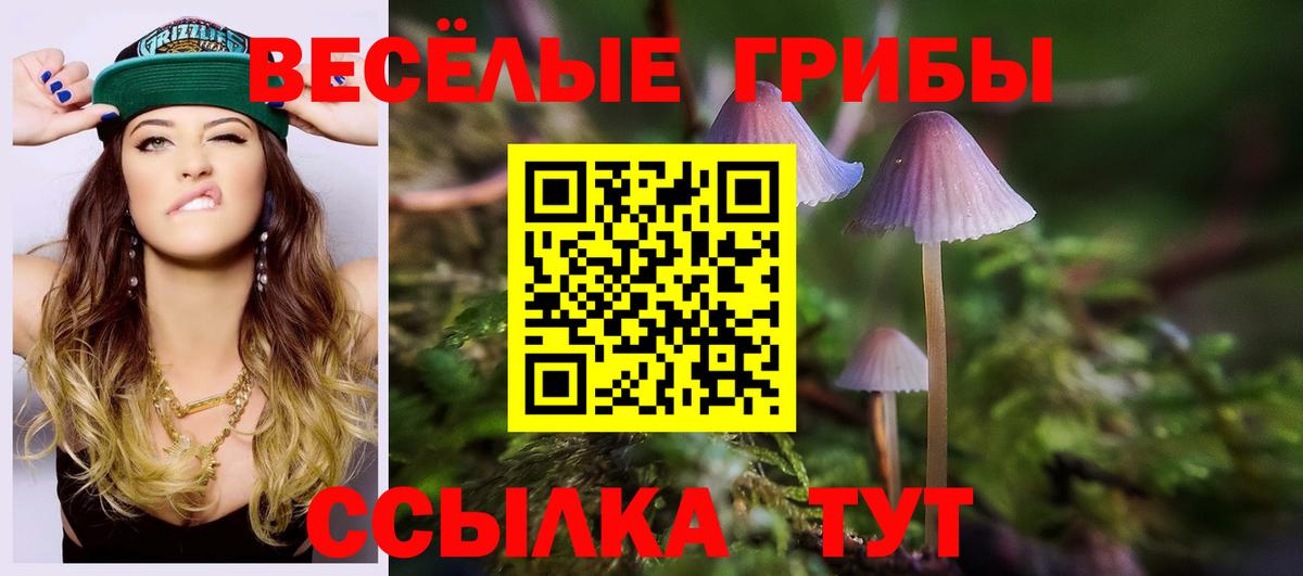 Дальнереченск  Псилоцибиновые грибы GOLDEN TEACHER  Вход с VPN  Псилоцибиновые грибы ЛСД 
